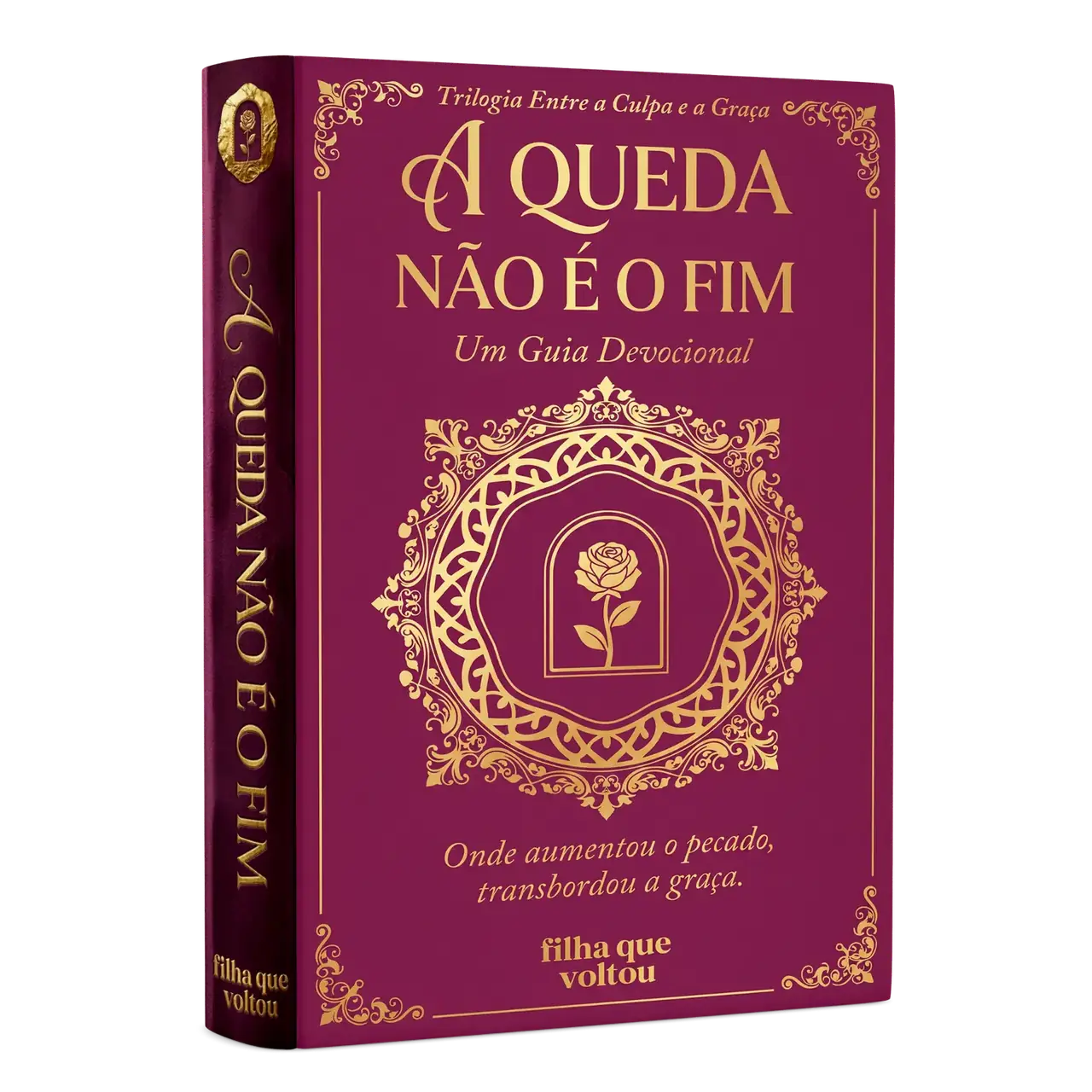 E-book A Queda Não É o Fim